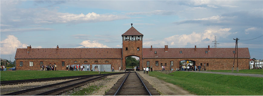 See Auschwitz Birkenau camp during guided detour