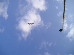 Fun things to do in Krakow - Bungee jumping 