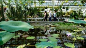 Botanical Garden - weekend in Krakow