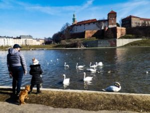 Father and child looking at swans with Krakow Wawel Castle in background