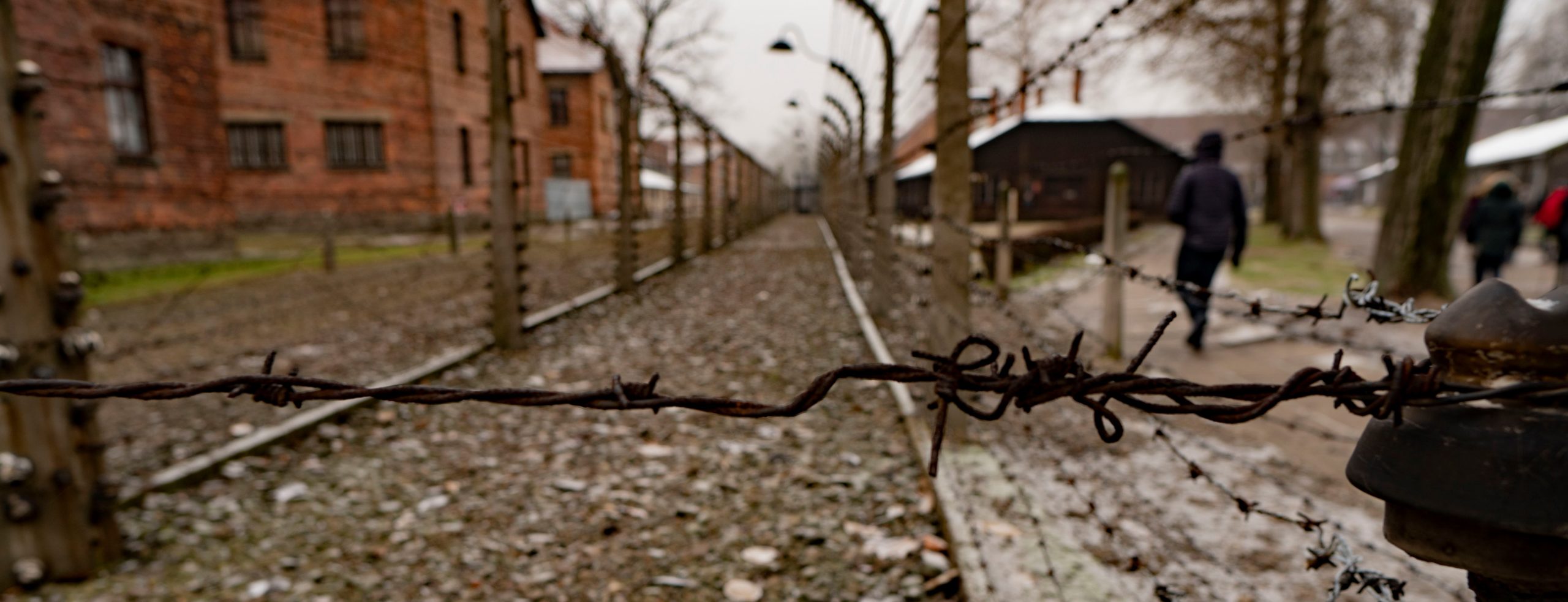 Auschwitz tour - barbed wire of passages between blocks