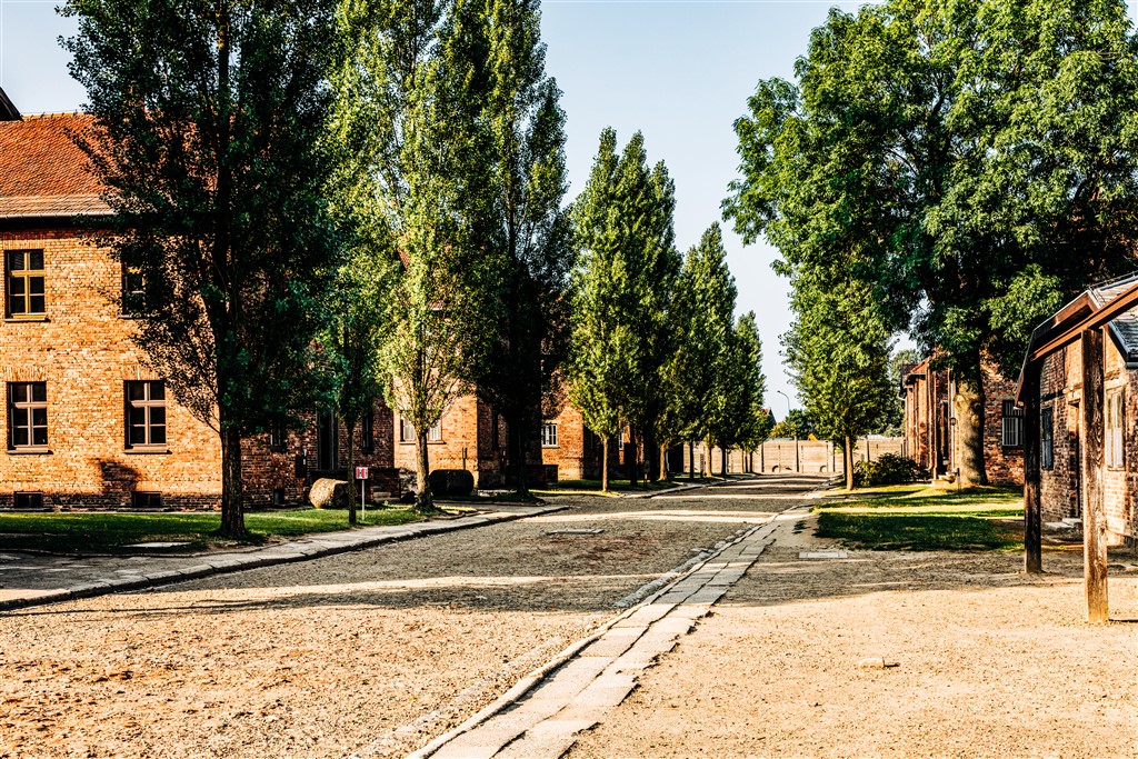 Auschwitz camp alley