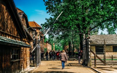 Auschwitz trips with guide