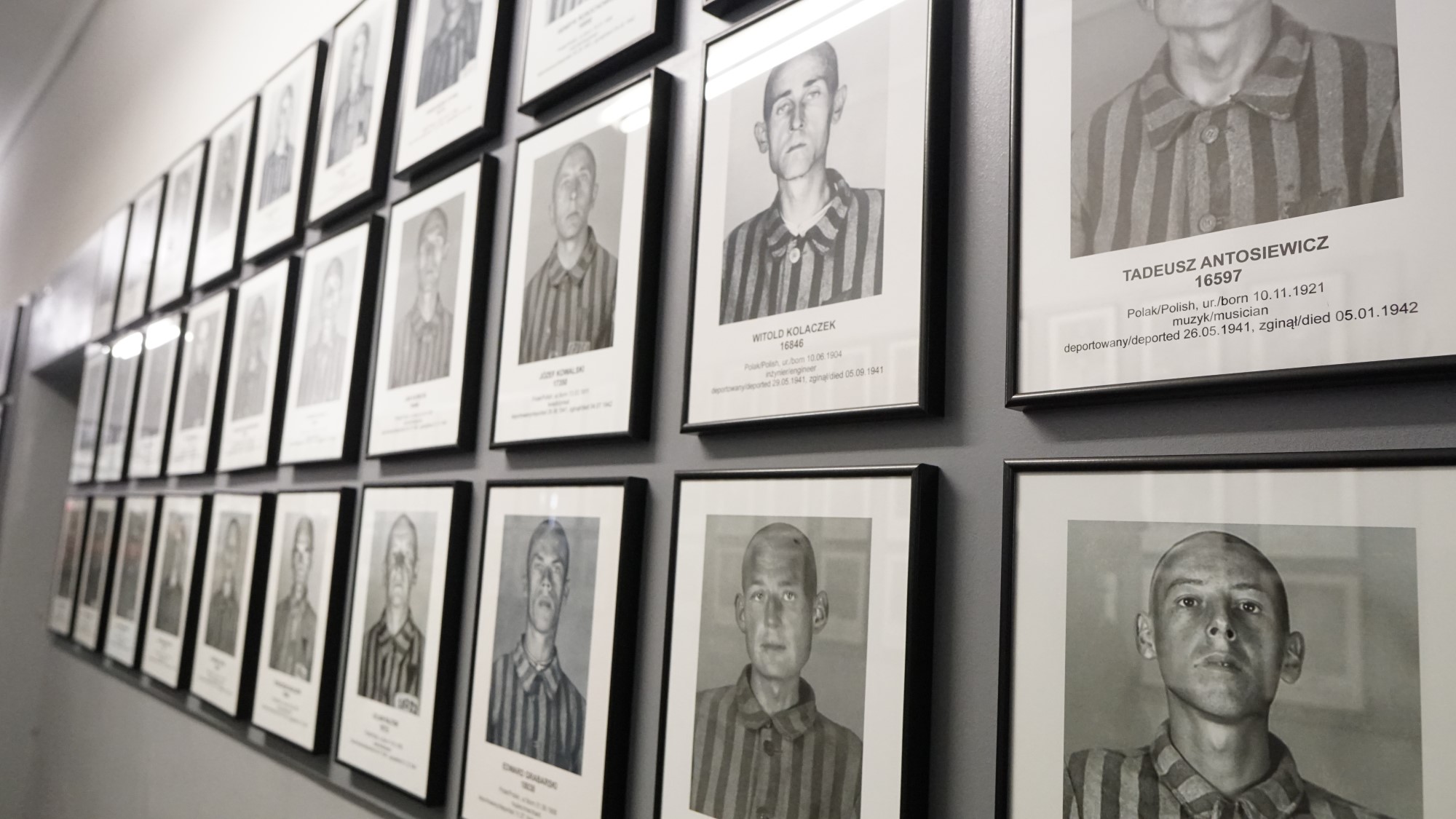 The memory of Nazi concentration camps – exhibitions about Auschwitz in Europe and in the world