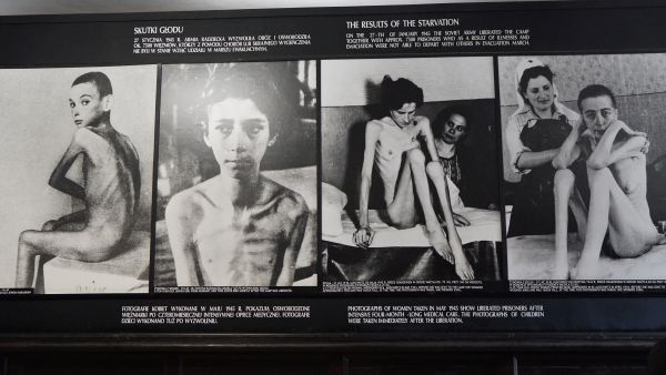 Auschwitz prisoners photos